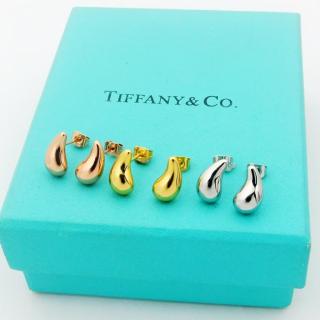 Small horn earrings
