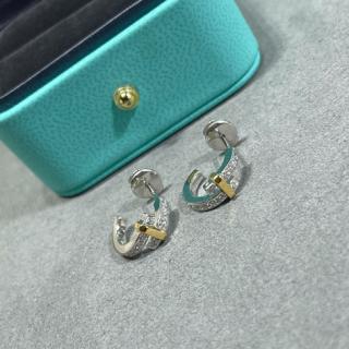 Color coded earrings